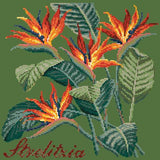 Strelitzia (Bird of Paradise) Needlepoint Kit Elizabeth Bradley Design Dark Green 