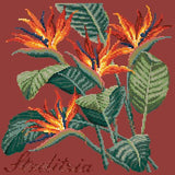 Strelitzia (Bird of Paradise) Needlepoint Kit Elizabeth Bradley Design Dark Red 