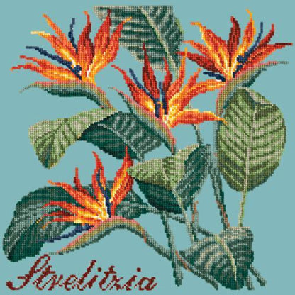 Strelitzia (Bird of Paradise) Needlepoint Kit Elizabeth Bradley Design Duck Egg Blue 