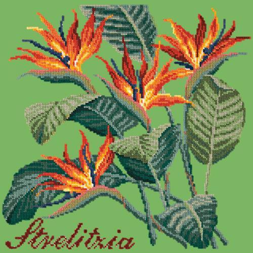 Strelitzia (Bird of Paradise) Needlepoint Kit Elizabeth Bradley Design Grass Green 