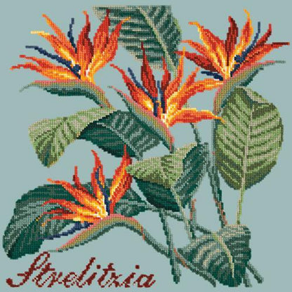 Strelitzia (Bird of Paradise) Needlepoint Kit Elizabeth Bradley Design Pale Blue 