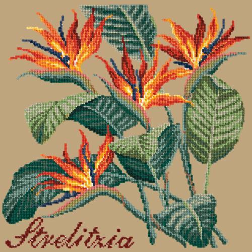 Strelitzia (Bird of Paradise) Needlepoint Kit Elizabeth Bradley Design Sand 