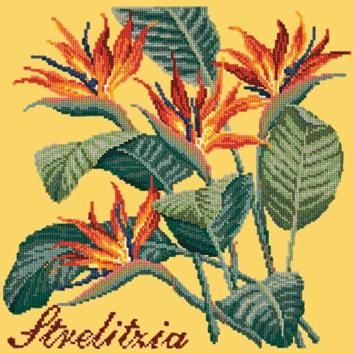 Strelitzia (Bird of Paradise) Needlepoint Kit Elizabeth Bradley Design Sunflower Yellow 