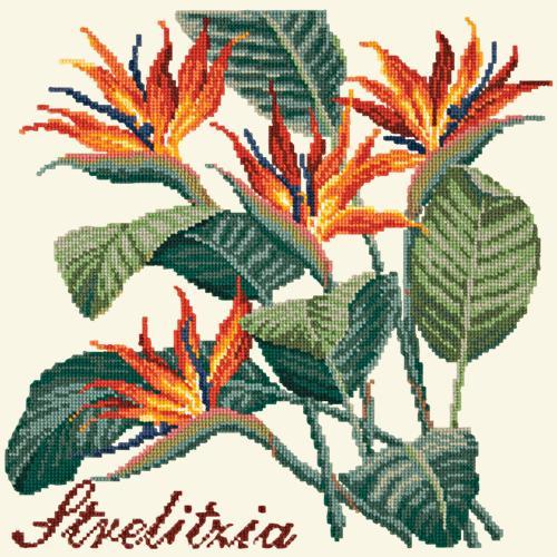 Strelitzia (Bird of Paradise) Needlepoint Kit Elizabeth Bradley Design Winter White 