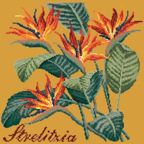 Strelitzia (Bird of Paradise) Needlepoint Kit Elizabeth Bradley Design Yellow 