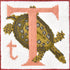 T-Terrapin