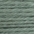 Tapestry Wool Colour 720