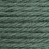 Tapestry Wool Colour 721
