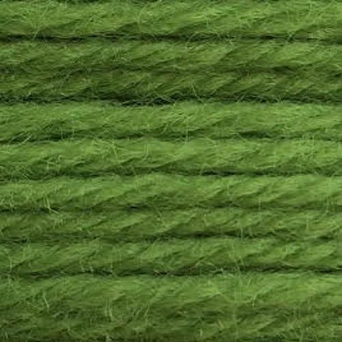 Tapestry Wool Colour 762