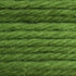 Tapestry Wool Colour 762
