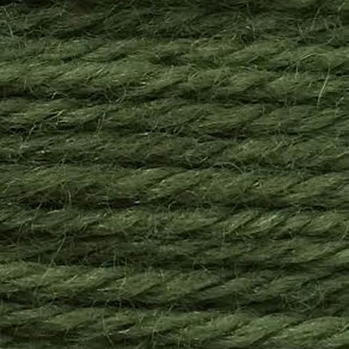 Tapestry Wool Colour 815