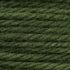 Tapestry Wool Colour 815