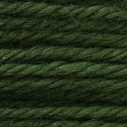 Tapestry Wool Colour 816