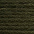 Tapestry Wool Colour 855