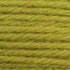 Tapestry Wool Colour 862