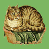 The Contented Cat Needlepoint Kit Elizabeth Bradley Design Grass Green 