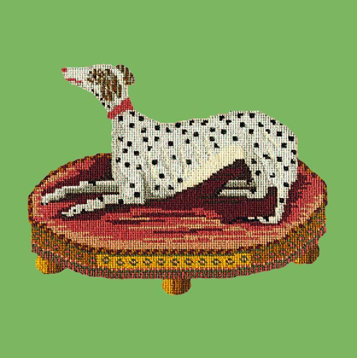 The Spotted Dog Needlepoint Kit Elizabeth Bradley Design Grass Green 
