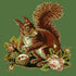 The Squirrel