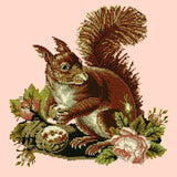 The Squirrel Needlepoint Kit Elizabeth Bradley Design Salmon Pink 