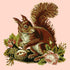 The Squirrel