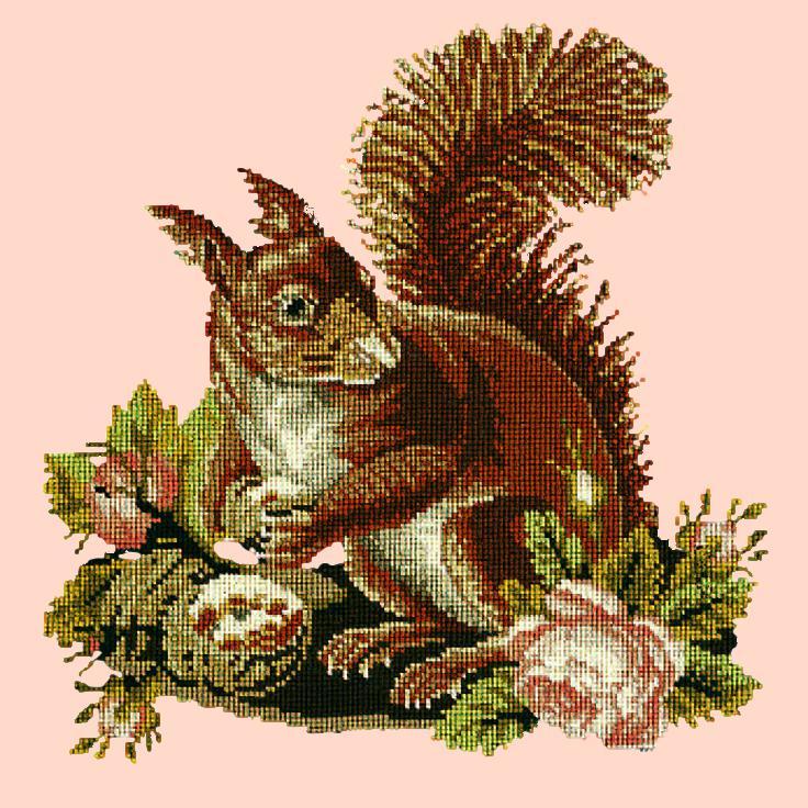 The Squirrel Needlepoint Kit Elizabeth Bradley Design Salmon Pink 