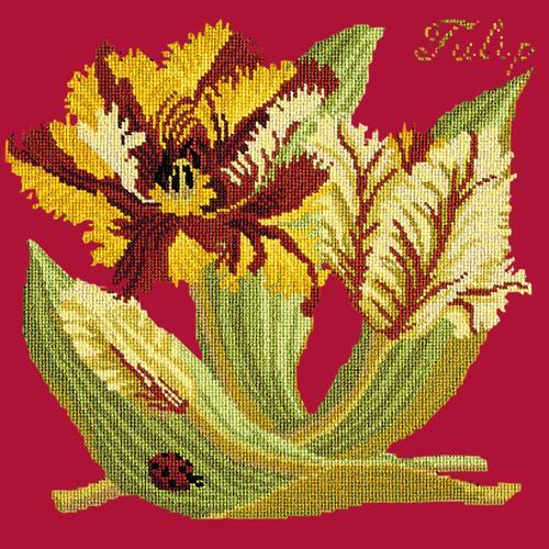 Tulip Needlepoint Kit Elizabeth Bradley Design Bright Red 