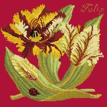 Tulip Needlepoint Kit Elizabeth Bradley Design Bright Red 