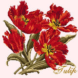 Tulip Needlepoint Kit Elizabeth Bradley Design Cream 