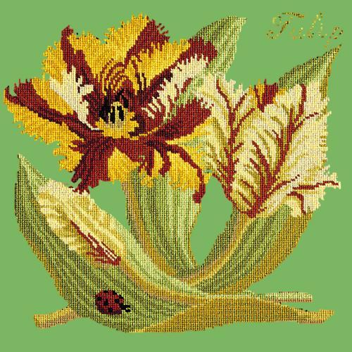 Tulip Needlepoint Kit Elizabeth Bradley Design Grass Green 