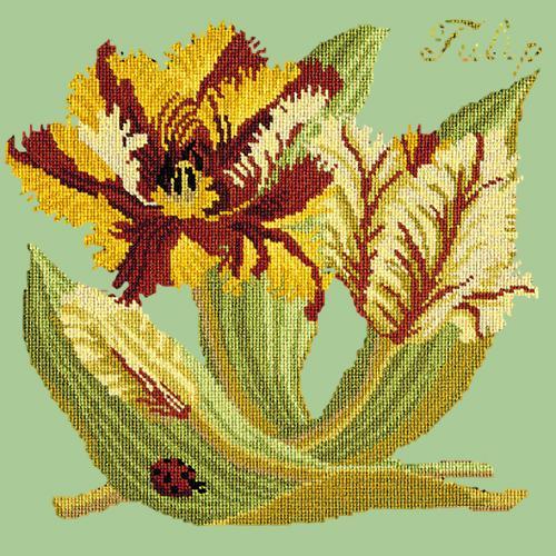 Tulip Needlepoint Kit Elizabeth Bradley Design Pale Green 