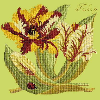 Tulip Needlepoint Kit Elizabeth Bradley Design Pale Lime 