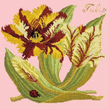 Tulip Needlepoint Kit Elizabeth Bradley Design Pale Rose 