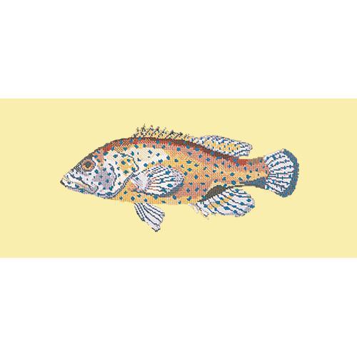 Vermilion Seabass Needlepoint Kit Elizabeth Bradley Design Butter Yellow 