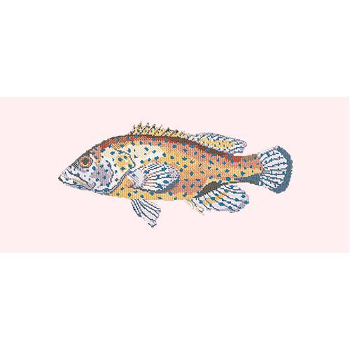 Vermilion Seabass Needlepoint Kit Elizabeth Bradley Design Cream 