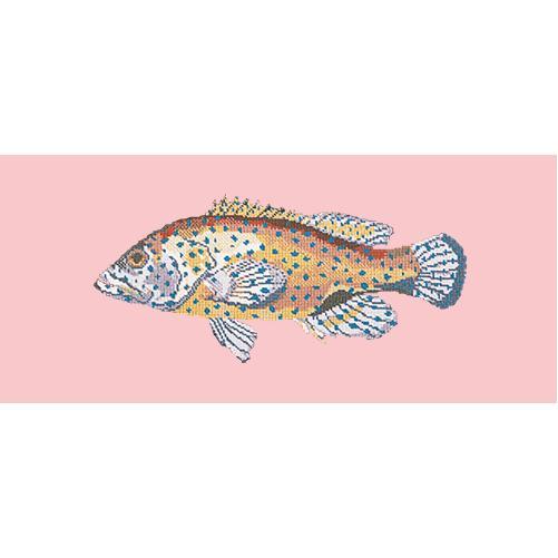 Vermilion Seabass Needlepoint Kit Elizabeth Bradley Design Pale Rose 