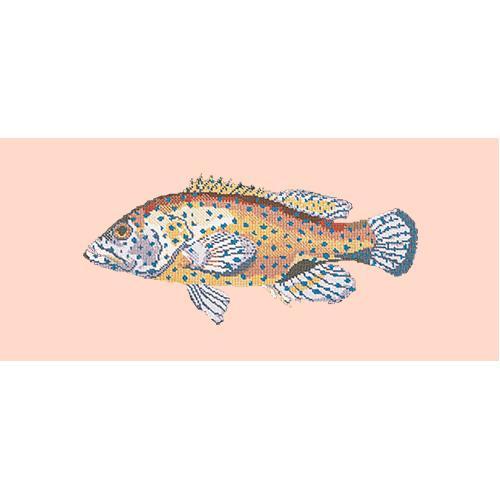 Vermilion Seabass Needlepoint Kit Elizabeth Bradley Design Salmon Pink 