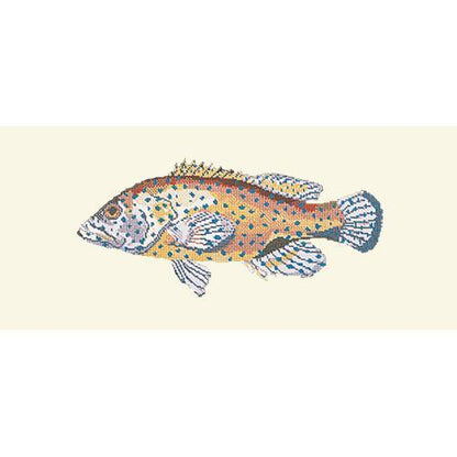 Vermilion Seabass Needlepoint Kit Elizabeth Bradley Design Winter White 