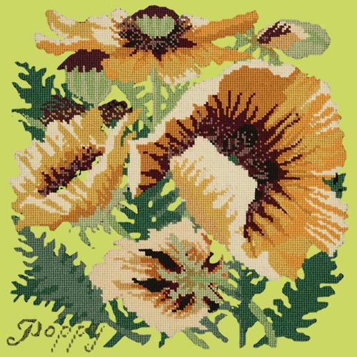 Yellow Poppy Needlepoint Kit Elizabeth Bradley Design Pale Lime 