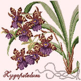 Zygopetalum (Ladybird Orchid) Needlepoint Kit Elizabeth Bradley Design Cream 