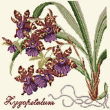 Zygopetalum (Ladybird Orchid) Needlepoint Kit Elizabeth Bradley Design Winter White 